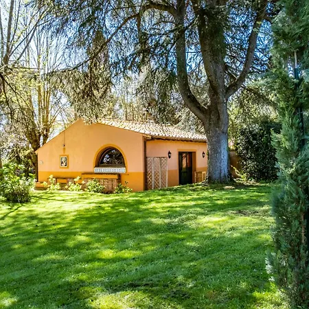 Domus Anson Silj Bed & Breakfast Rome
